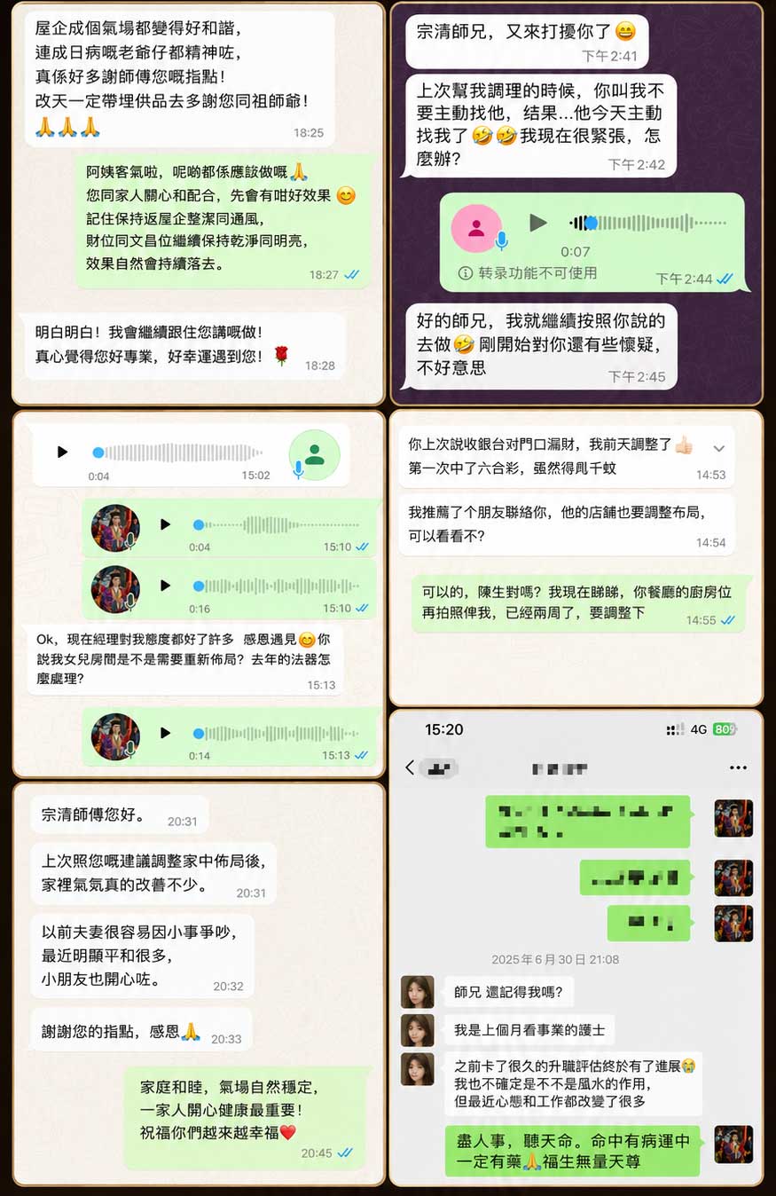 全球客户反馈案例